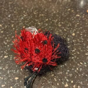 Cute Ladybug 🐞 crinkle kitty toy!!!! 😻🐾🐾